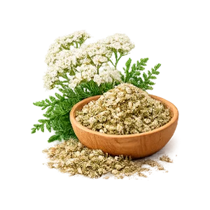 Parazax — Estratto di achillea (Achillea millefolium)