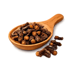 Parazax — Estratto di chiodi di garofano (Syzygium aromaticum)