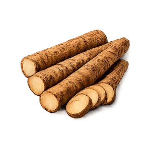 Parazax — Estratto di radice di bardana (Arctium lappa)